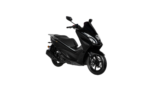 Burgman 15